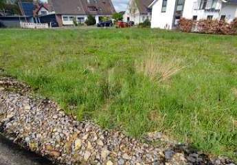 467435-Vorschaubild2