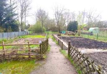 467439-Vorschaubild2