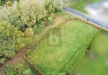 465811-Vorschaubild3