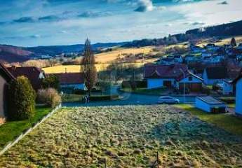 466573-Vorschaubild3