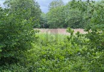 466356-Vorschaubild2