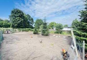 469834-Vorschaubild2