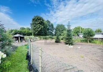 469834-Vorschaubild3