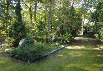 467928-Vorschaubild2