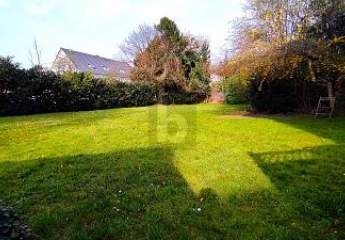 467466-Vorschaubild4