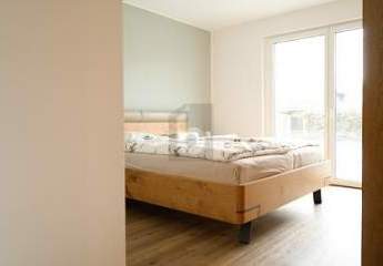 466575-Vorschaubild4