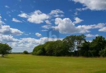 VIEL PLATZ FÜR DIE GANZE FAMILIE IM ALTEN LAND