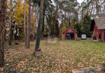 465921-Vorschaubild3