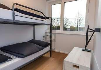 469722-Vorschaubild4