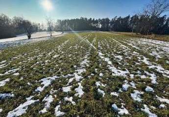 469795-Vorschaubild4