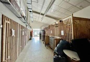 467923-Vorschaubild4