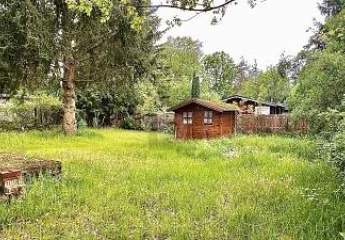 467940-Vorschaubild4