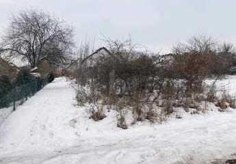 471006-Vorschaubild4