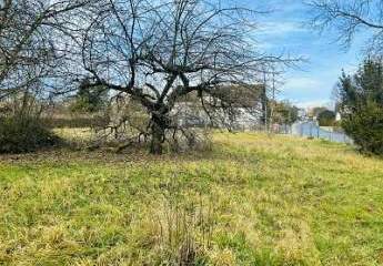 470497-Vorschaubild3