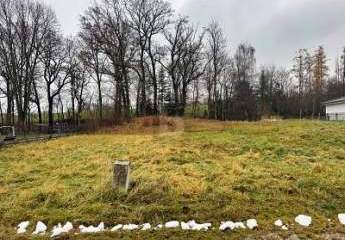 STEHT HIER IHR KÜNFTIGES DOMIZIL IM GRÜNEN?