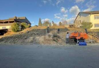 467912-Vorschaubild4