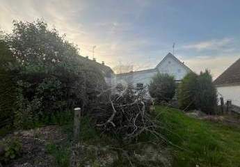 470491-Vorschaubild4