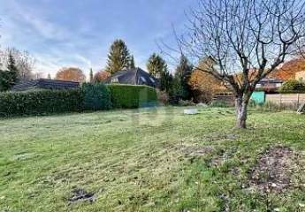 469433-Vorschaubild2