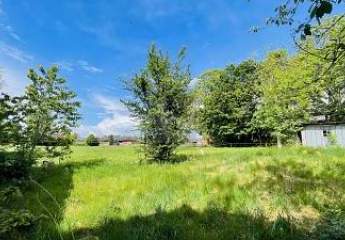 471337-Vorschaubild4