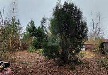 471002-Vorschaubild3