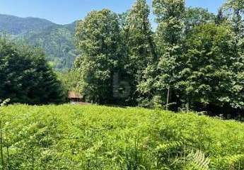 471368-Vorschaubild2