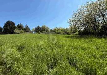 471363-Vorschaubild3