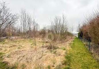 471204-Vorschaubild4