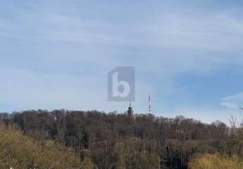 471838-Vorschaubild4