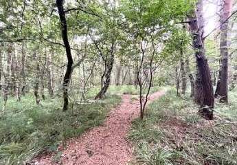 472025-Vorschaubild3