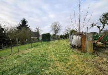 470115-Vorschaubild2