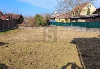 472231-Vorschaubild2