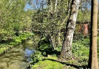 467870-Vorschaubild3