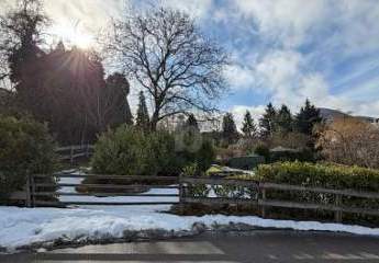 472232-Vorschaubild4