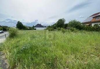 472005-Vorschaubild2