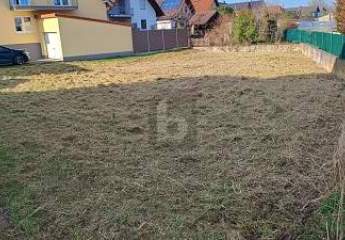 472231-Vorschaubild3