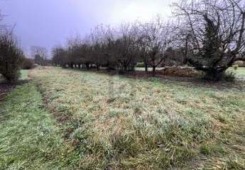 472233-Vorschaubild2