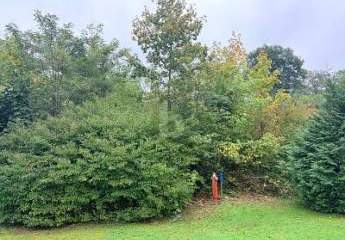 471384-Vorschaubild2