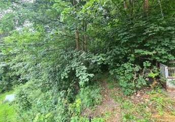 469720-Vorschaubild2