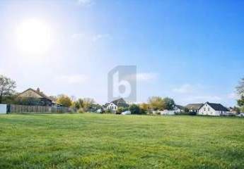 469736-Vorschaubild3