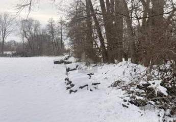 470233-Vorschaubild4