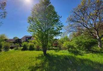 470135-Vorschaubild2