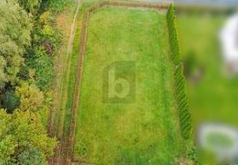 470359-Vorschaubild4