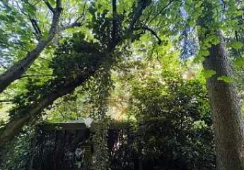 472642-Vorschaubild4