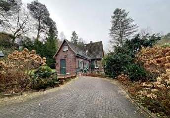 468858-Vorschaubild3