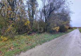 470120-Vorschaubild2