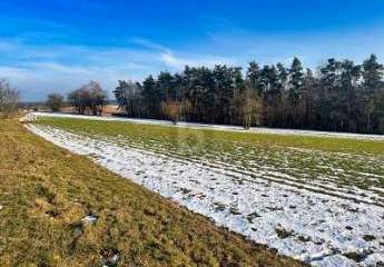 LANDWIRTSCHAFTLICHE NUTZUNG