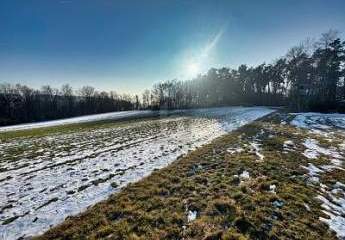 469795-Vorschaubild2