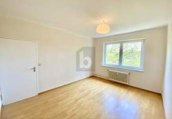 473412-Vorschaubild4