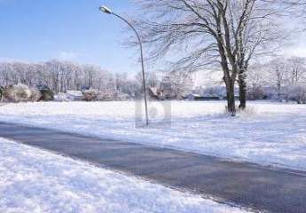 472976-Vorschaubild2