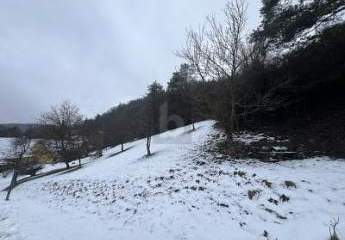 TRAUMHAFTER AUSBLICK IN NATURNAHER IDYLLE